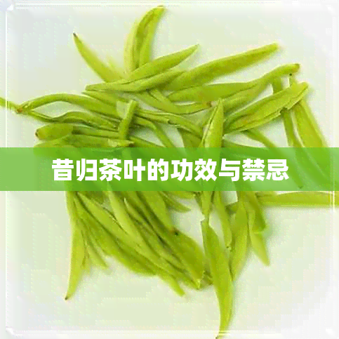 昔归茶叶的功效与禁忌