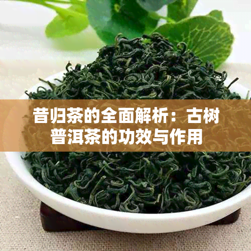 昔归茶的全面解析：古树普洱茶的功效与作用