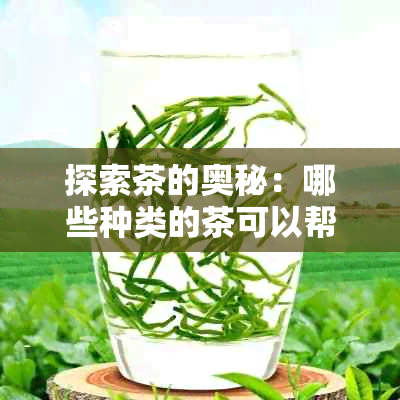 探索茶的奥秘：哪些种类的茶可以帮助我们健减肥并减少脂肪堆积？