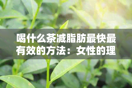 喝什么茶减脂肪最快最有效的方法：女性的理想选择