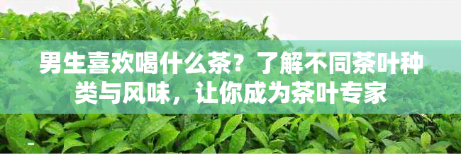 男生喜欢喝什么茶？了解不同茶叶种类与风味，让你成为茶叶专家