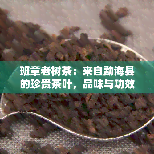 班章老树茶：来自勐海县的珍贵茶叶，品味与功效详解