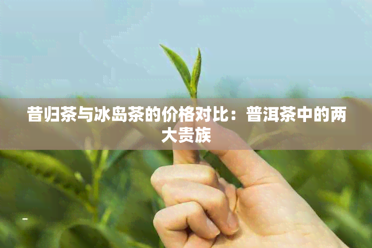 昔归茶与冰岛茶的价格对比：普洱茶中的两大贵族