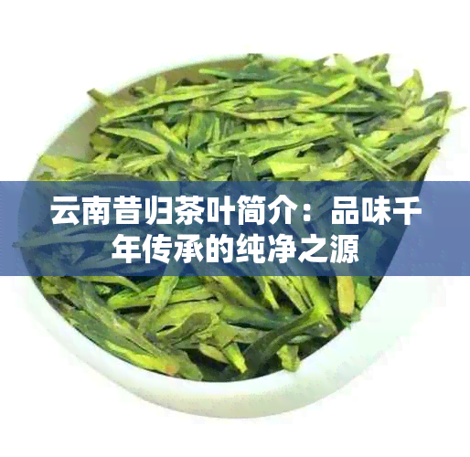 云南昔归茶叶简介：品味千年传承的纯净之源