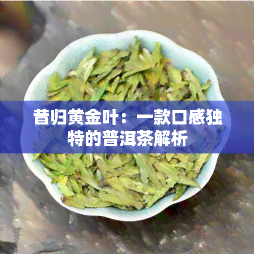 昔归黄金叶：一款口感独特的普洱茶解析