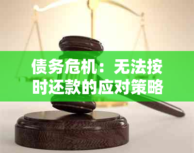 债务危机：无法按时还款的应对策略和解决方案