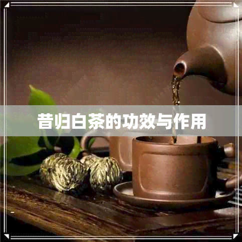 昔归白茶的功效与作用