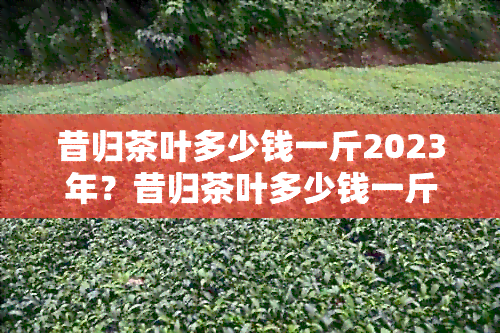 昔归茶叶多少钱一斤2023年？昔归茶叶多少钱一斤2019年？