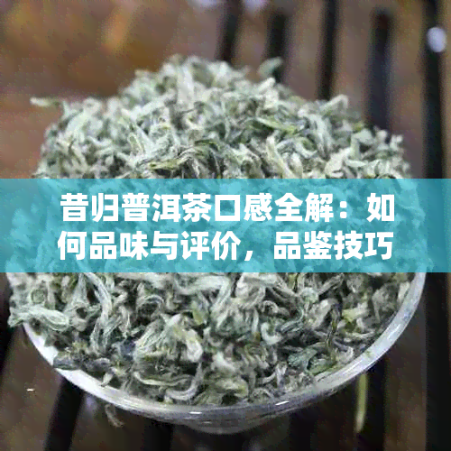 昔归普洱茶口感全解：如何品味与评价，品鉴技巧与注意事项