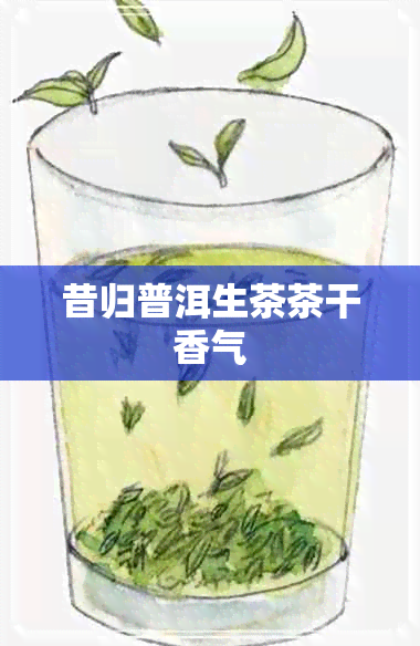 昔归普洱生茶茶干香气