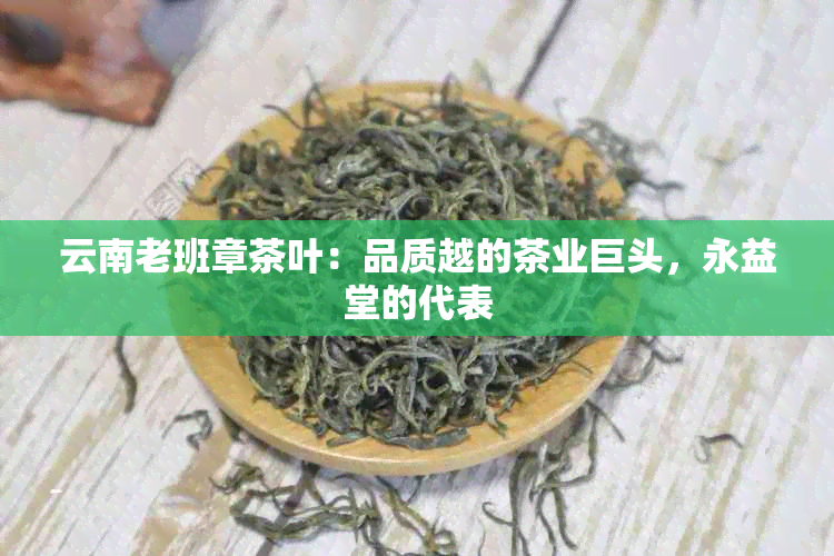 云南老班章茶叶：品质越的茶业巨头，永益堂的代表