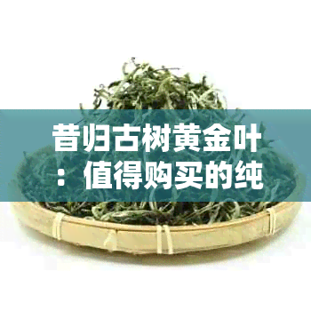 昔归古树黄金叶：值得购买的纯正口感茶叶，了解价格与真伪鉴别。