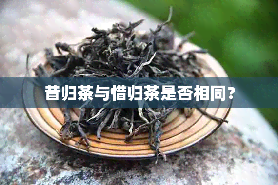 昔归茶与惜归茶是否相同？