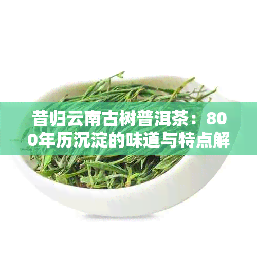 昔归云南古树普洱茶：800年历沉淀的味道与特点解析