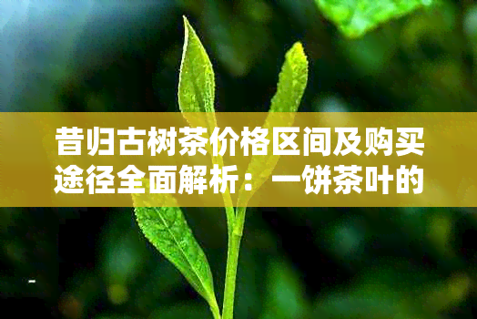 昔归古树茶价格区间及购买途径全面解析：一饼茶叶的市场参考价值是多少？