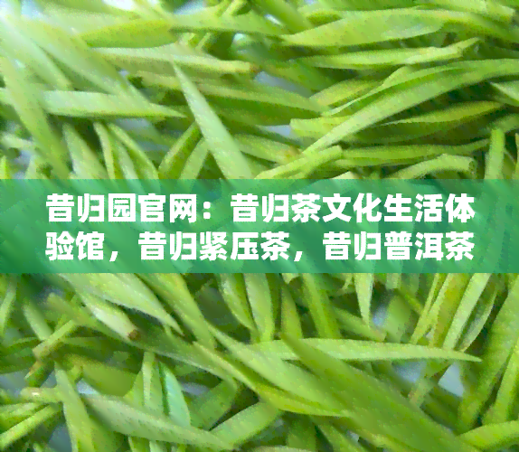 昔归园官网：昔归茶文化生活体验馆，昔归紧压茶，昔归普洱茶价格。