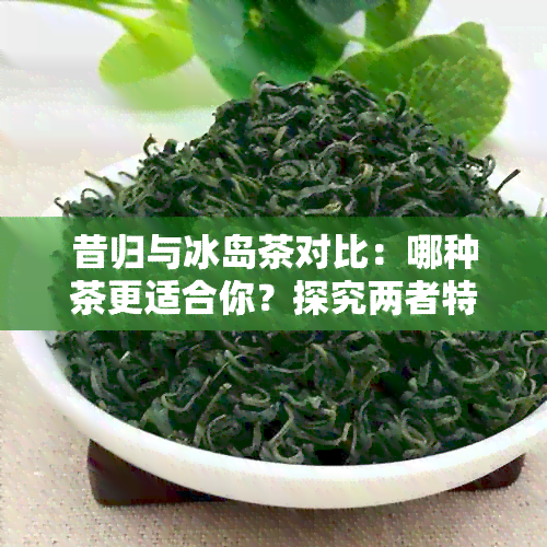 昔归与冰岛茶对比：哪种茶更适合你？探究两者特点和口感