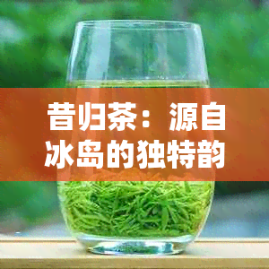 昔归茶：源自冰岛的独特韵味探索