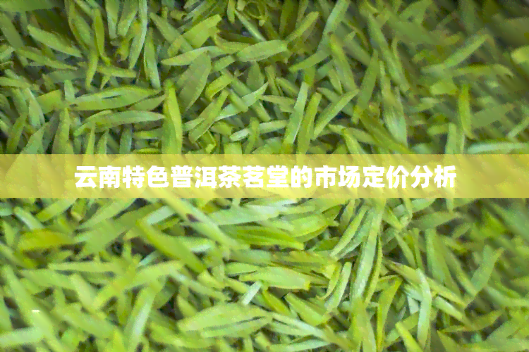 云南特色普洱茶茗堂的市场定价分析