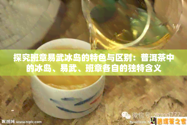 探究班章易武冰岛的特色与区别：普洱茶中的冰岛、易武、班章各自的独特含义