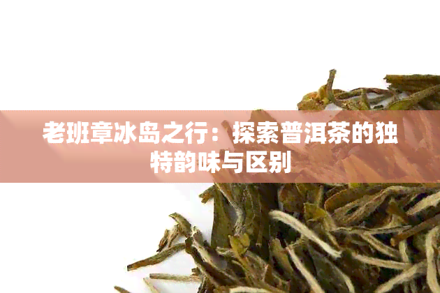 老班章冰岛之行：探索普洱茶的独特韵味与区别