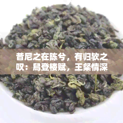 昔尼之在陈兮，有归欤之叹：舄登楼赋，王粲情深意浓