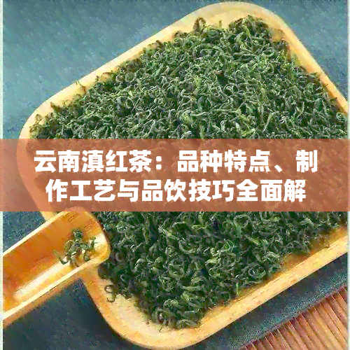 云南滇红茶：品种特点、制作工艺与品饮技巧全面解析，茗纳百川的品质之选