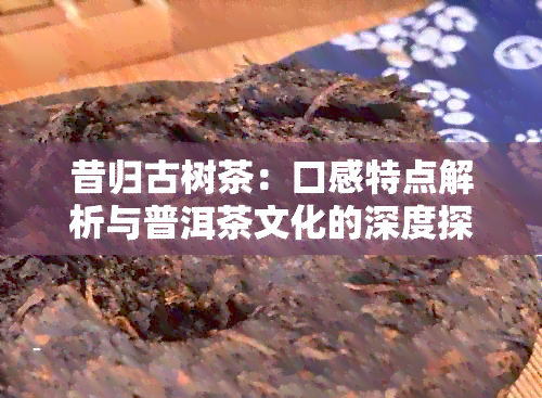 昔归古树茶：口感特点解析与普洱茶文化的深度探讨