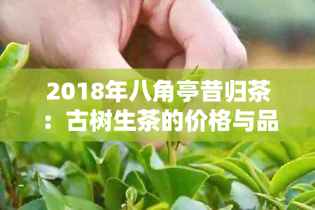 2018年八角亭昔归茶：古树生茶的价格与品质分析