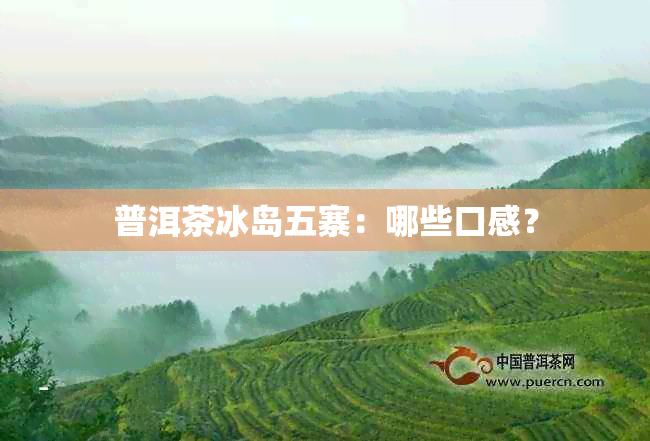 普洱茶冰岛五寨：哪些口感？