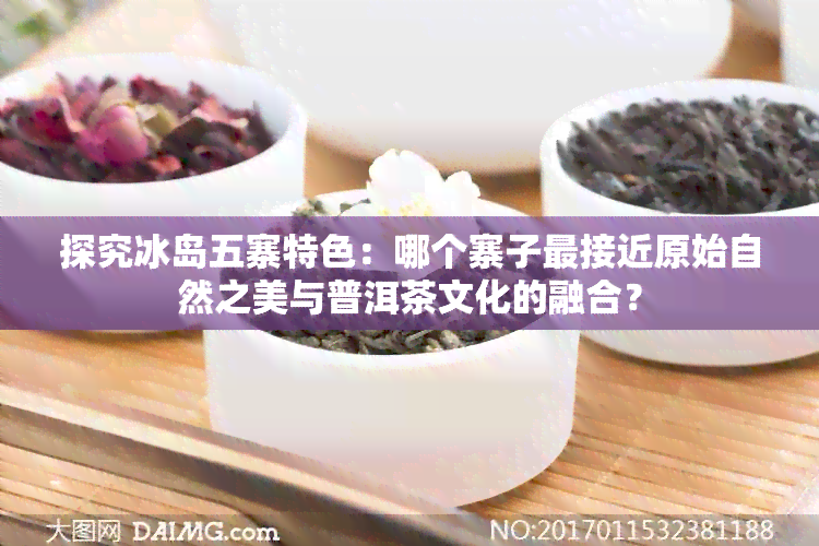 探究冰岛五寨特色：哪个寨子最接近原始自然之美与普洱茶文化的融合？