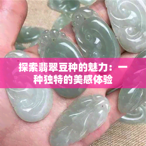 探索翡翠豆种的魅力：一种独特的美感体验