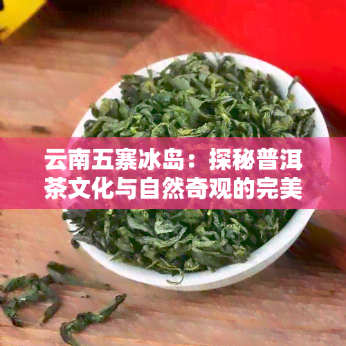 云南五寨冰岛：探秘普洱茶文化与自然奇观的完美融合