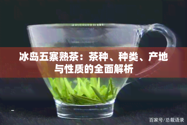 冰岛五寨熟茶：茶种、种类、产地与性质的全面解析