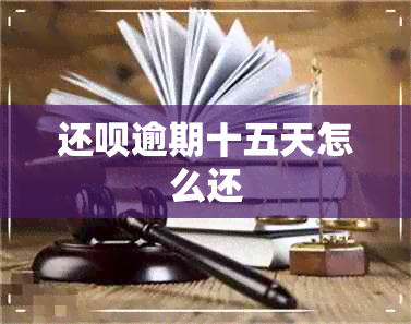 还款逾期十五天怎么还