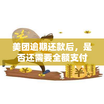 美团逾期还款后，是否还需要全额支付？解答所有相关疑问