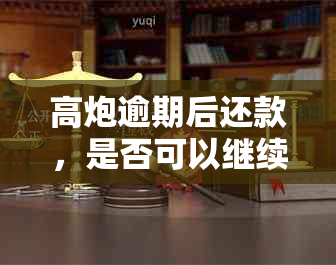 高炮逾期后还款，是否可以继续使用714服务？如何操作以确保正常还款？