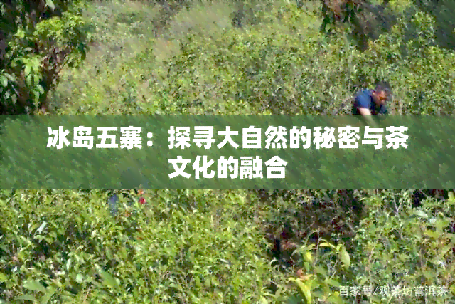 冰岛五寨：探寻大自然的秘密与茶文化的融合