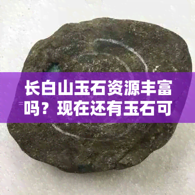 长白山玉石资源丰富吗？现在还有玉石可以开采吗？