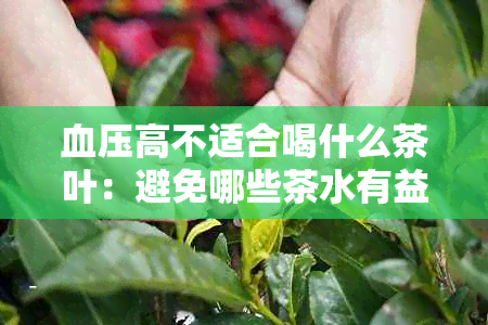 血压高不适合喝什么茶叶：避免哪些茶水有益健？