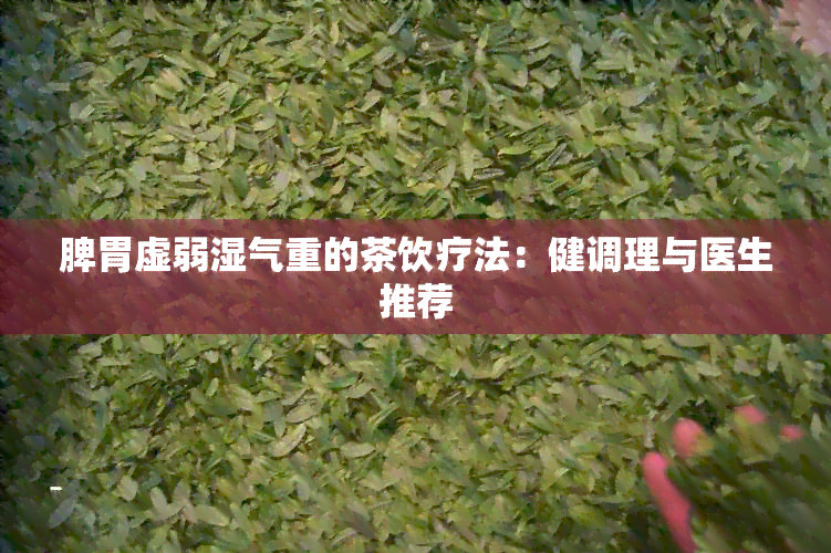 脾胃虚弱湿气重的茶饮疗法：健调理与医生推荐