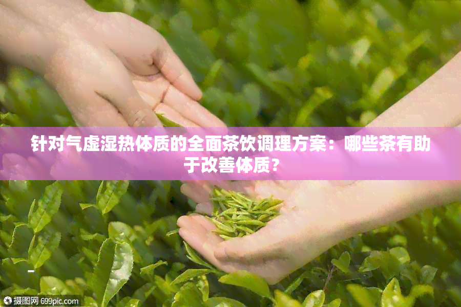 针对气虚湿热体质的全面茶饮调理方案：哪些茶有助于改善体质？