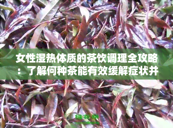 女性湿热体质的茶饮调理全攻略：了解何种茶能有效缓解症状并改善体质