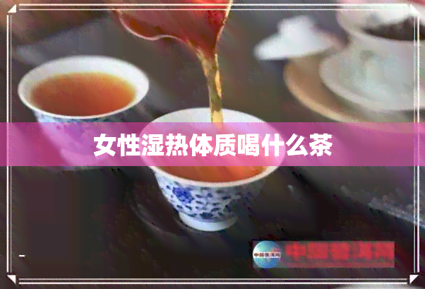 女性湿热体质喝什么茶