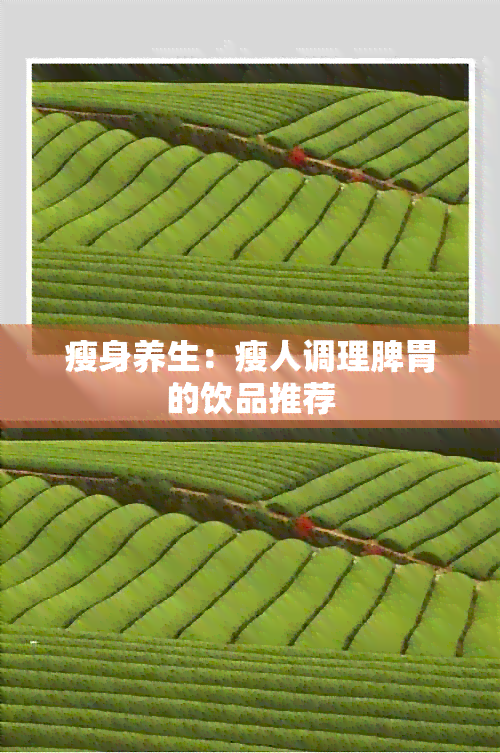 瘦身养生：瘦人调理脾胃的饮品推荐