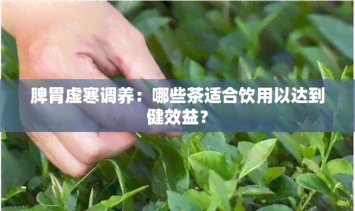 脾胃虚寒调养：哪些茶适合饮用以达到健效益？