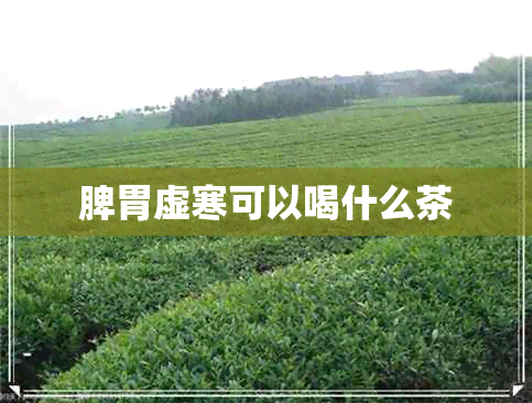 脾胃虚寒可以喝什么茶