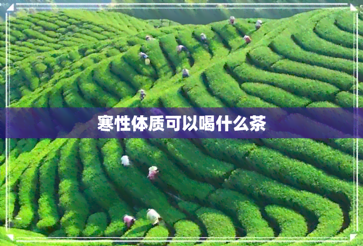 寒性体质可以喝什么茶