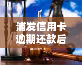 浦发信用卡逾期还款后，如何使用卡片进行更低还款？还有哪些解决办法？