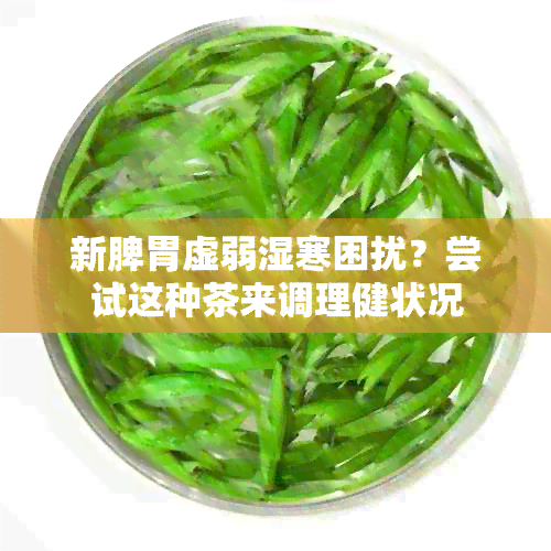 新脾胃虚弱湿寒困扰？尝试这种茶来调理健状况